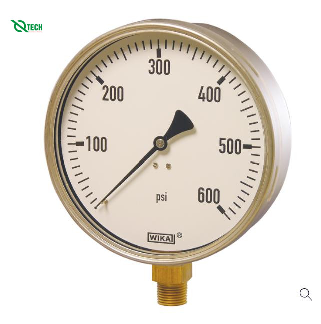 Đồng hồ đo áp suất WIKA 212.20 (600kg/cm²(psi))