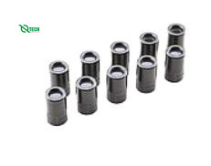 Màng que đo dùng cho máy đo Oxy hòa tan DO210 EXTECH 780417A (10 cái)