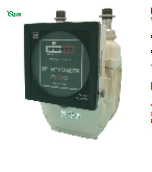 Đồng hồ đo lưu lượng khí gas Shinagawa DS, DSH