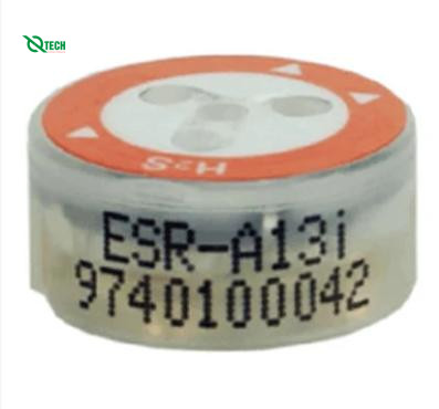 Cảm biến đo nồng độ H2S Riken ESR-A13I-H2S