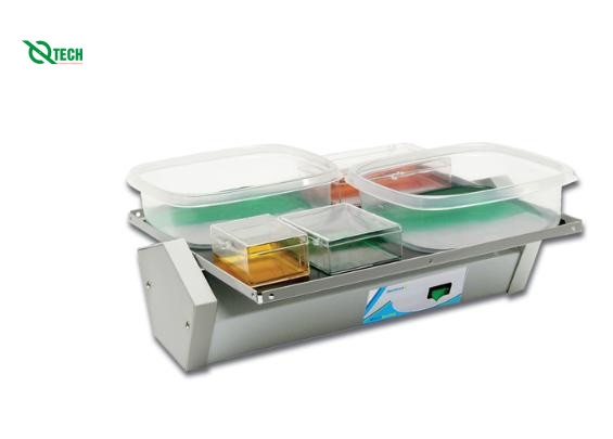 Máy lắc đĩa Benchmark BenchBlotter (12"x12")