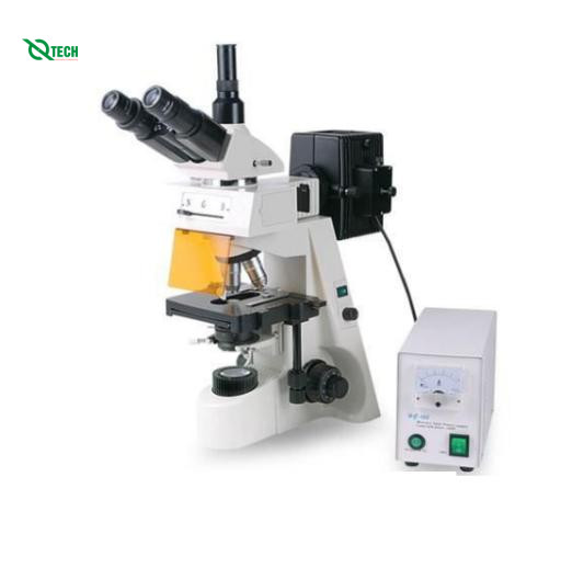 Kính hiển vi huỳnh quang HINOTEK XYL-146YAT (4X-100X)